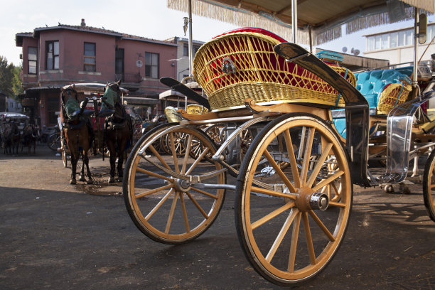 马车和马图片下载