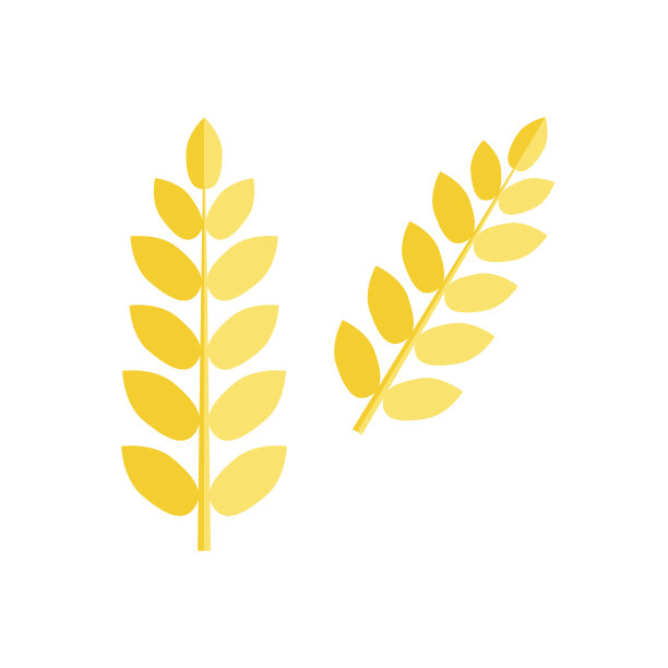 麦穗分离载体素材图片