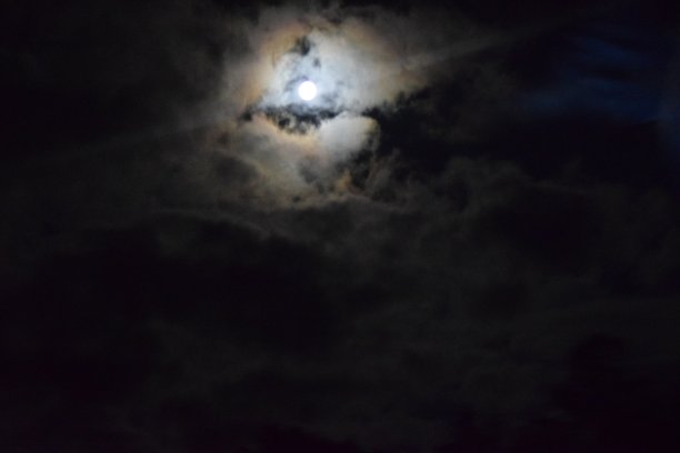 点亮之夜图片下载