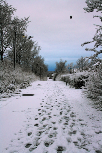 冬天的风景图片下载