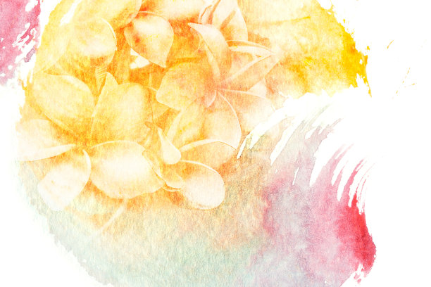 花水彩插图。图片下载