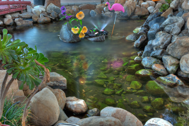 岩石池塘和喷泉图片下载