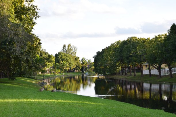 佛罗里达的运河图片下载