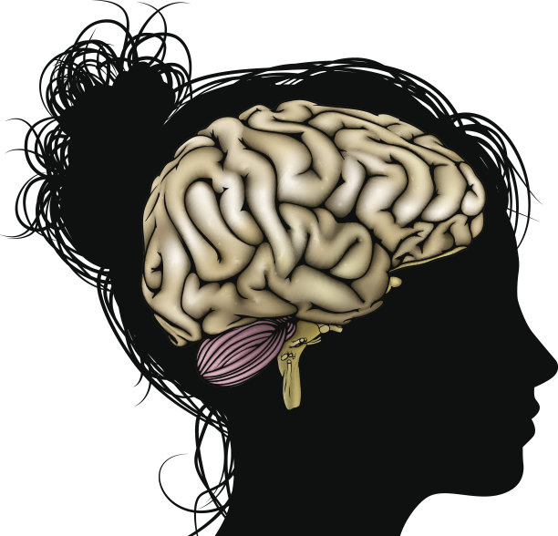 女性剪影大脑图片下载