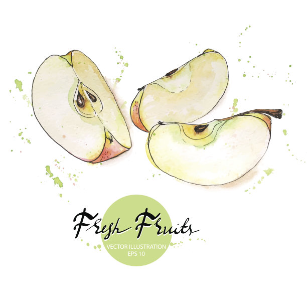 水果矢量图素材ID：124376644