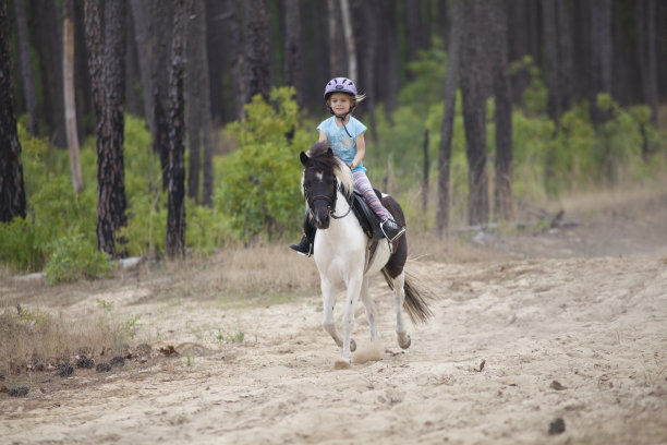 穿越森林图片下载