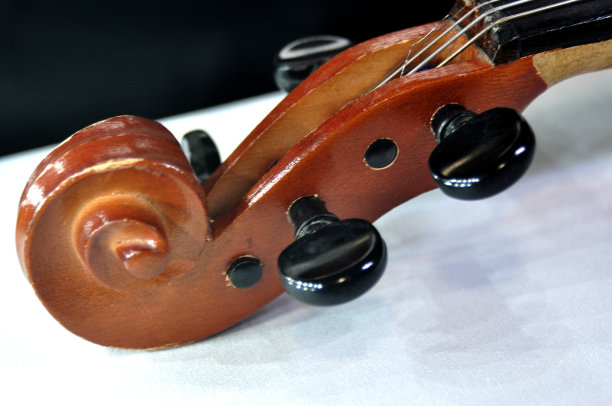 小提琴主轴承图片下载