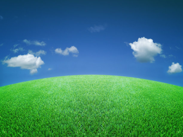 绿草蓝天图片下载