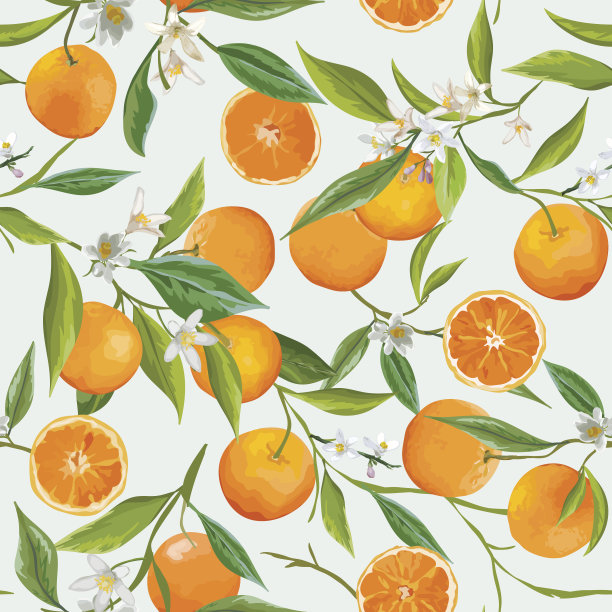 无缝模式。橙色水果背景。花的图案图片下载