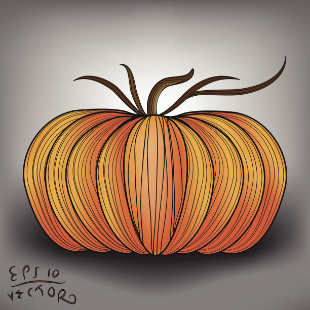 橙色的南瓜图片下载