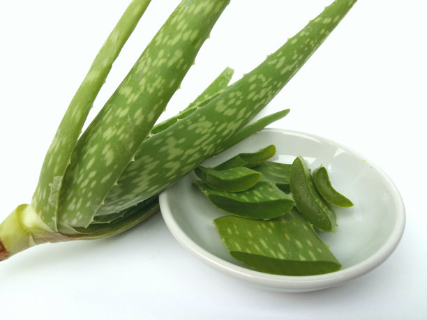 白色背景上的芦荟图片下载