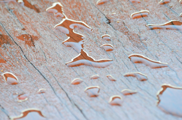 水滴在木头上图片下载