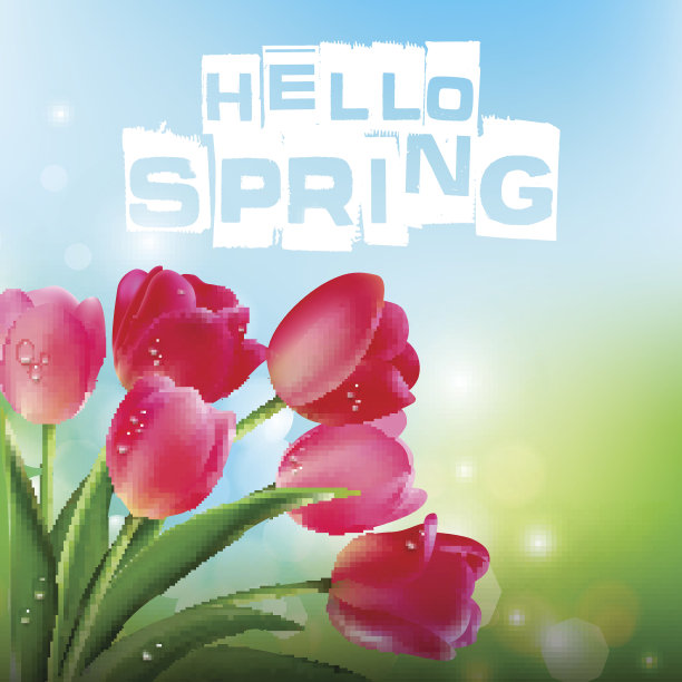 蓝色天空背景上的粉色郁金香图片下载