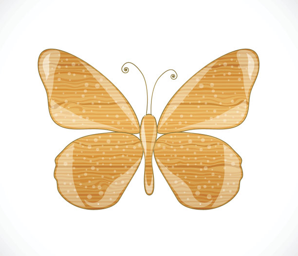 美丽的抽象的蝴蝶。图片下载