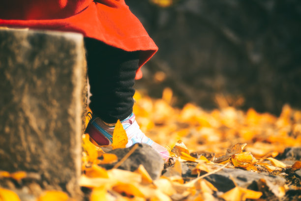 秋天的女孩图片下载