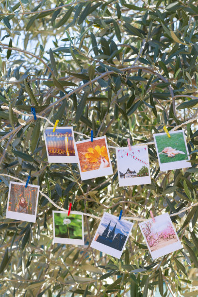 挂在晒衣绳上的一组照片。图片下载