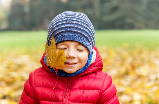 秋天的吻。快乐的小男孩和黄色的枫树。图片下载