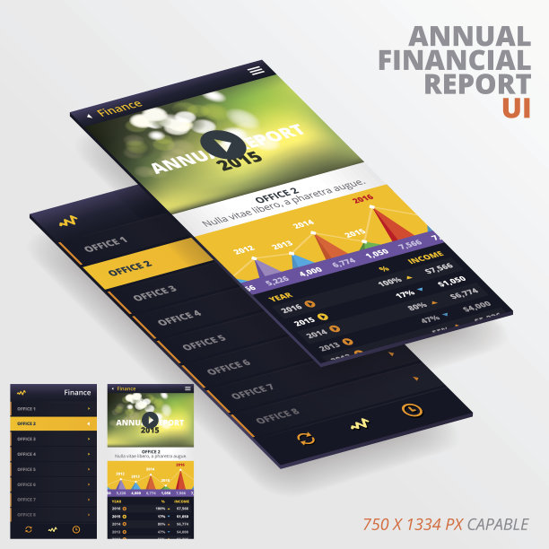 年度财务报告App图片下载