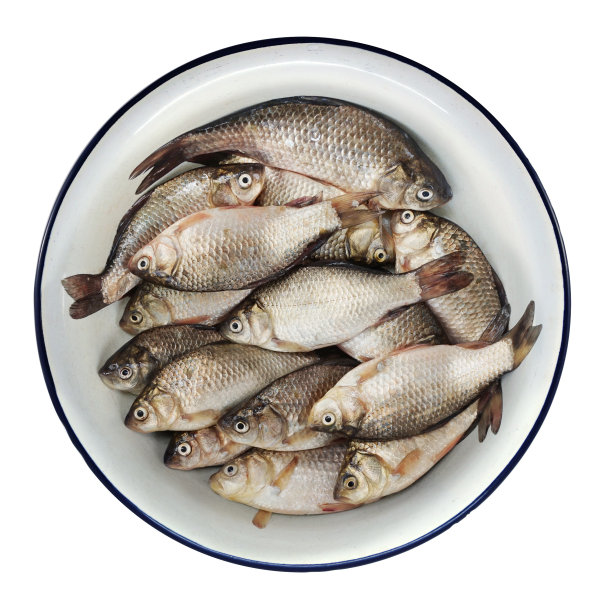 碗里的鲤鱼图片下载