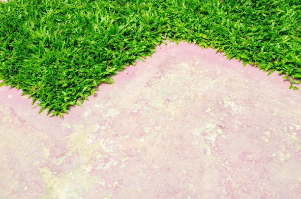 铺平道路和草坪。图片下载