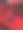 玫瑰图片下载