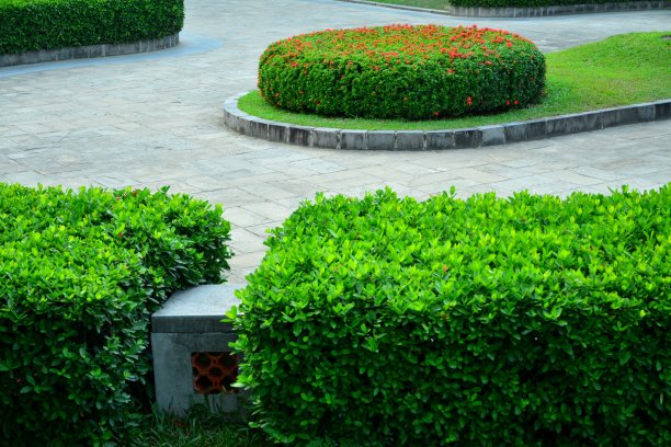 人行道和花园图片下载