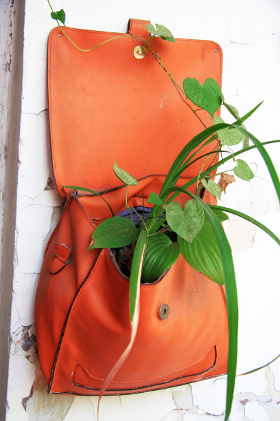 种植绿色植物图片下载