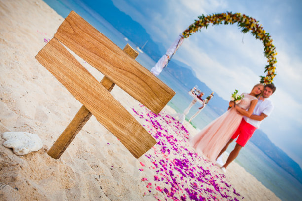 一对新婚夫妇在海滩上图片下载