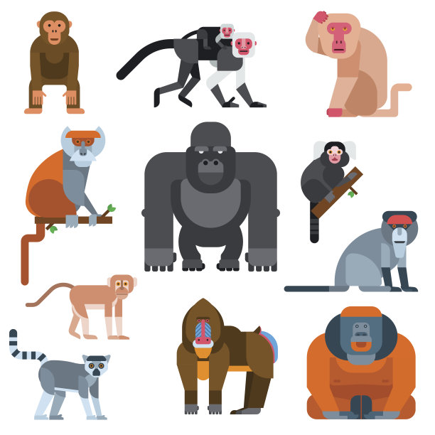 猴子矢量图图片下载
