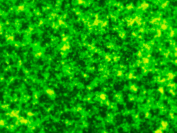 绿色枯燥乏味的背景图片下载