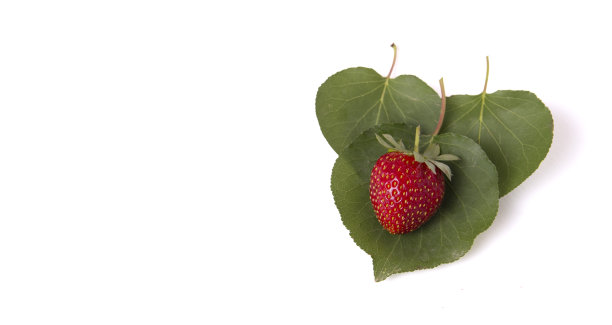 孤立的草莓图片下载