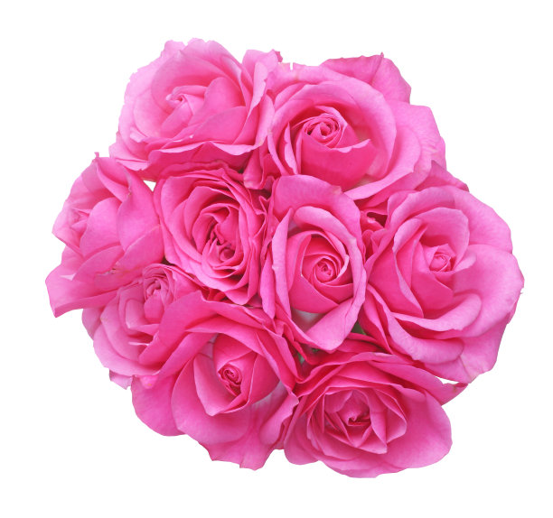 束玫瑰图片下载