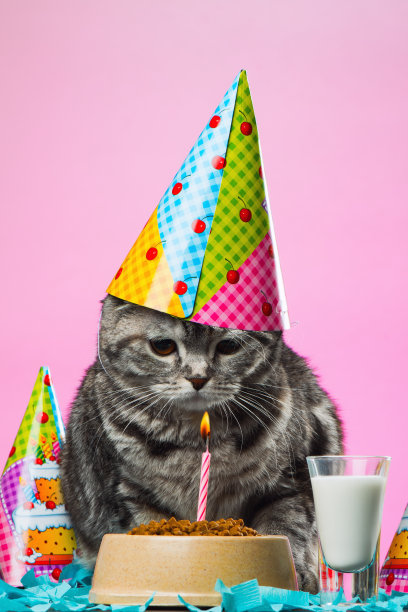 猫生日图片下载