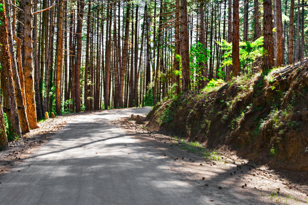 路在意大利图片下载