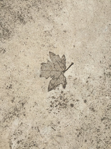 下降的迹象图片下载