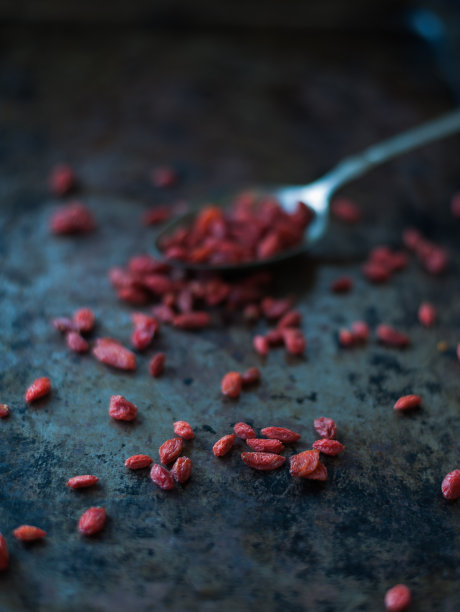 枸杞浆果图片下载