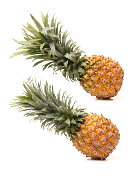 新鲜的菠萝图片下载