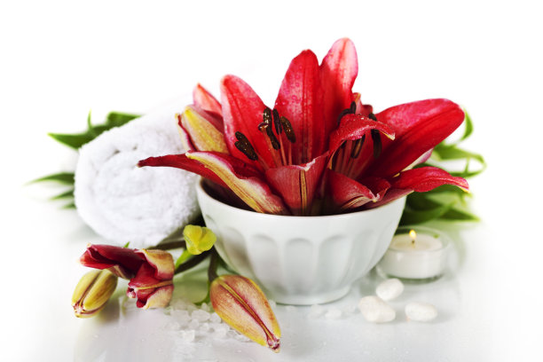 水疗中心组成图片下载