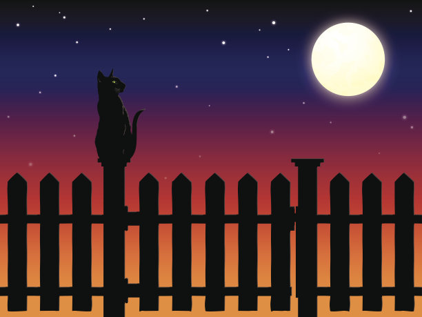 月光下，猫坐在尖桩篱笆柱上图片下载