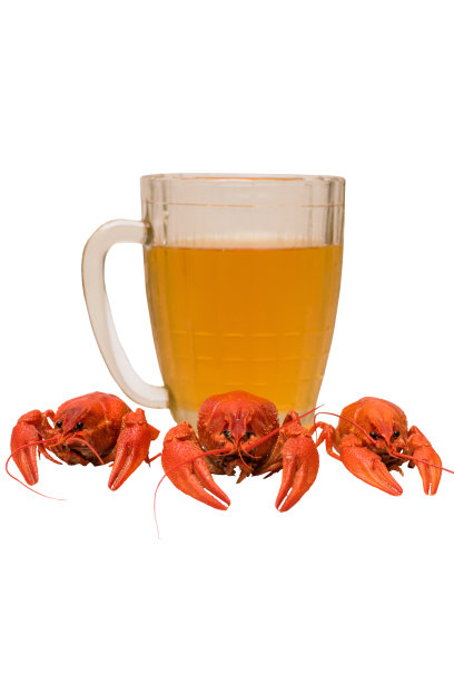 三只小龙虾和啤酒杯的照片图片下载