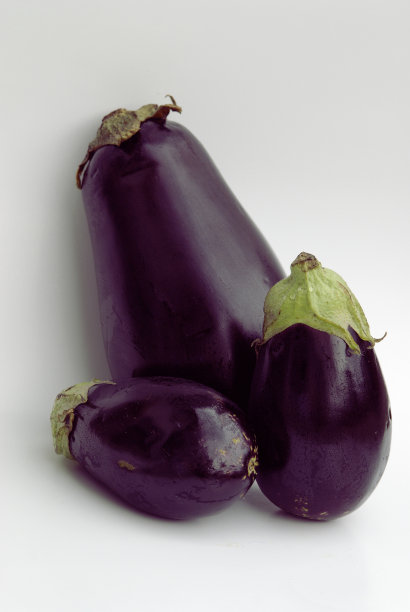 紫色的茄子图片下载