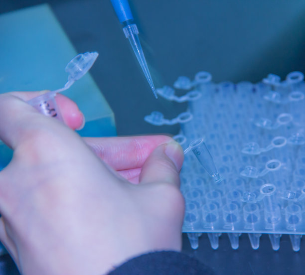 一步PCR图片下载