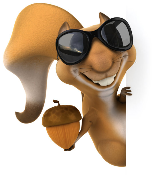 有趣的松鼠图片下载