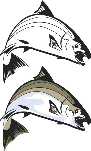 鲑鱼跳跃图片下载