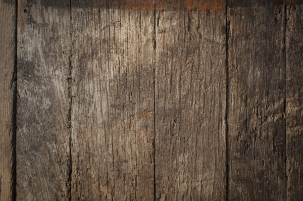 《静物记》和一桶啤酒图片下载