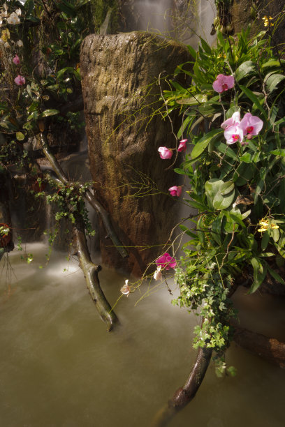 花园里的瀑布图片下载