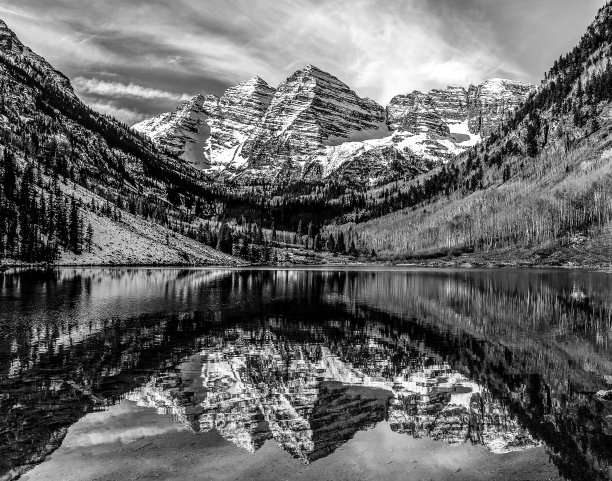 黑色和白色的栗色铃铛图片下载