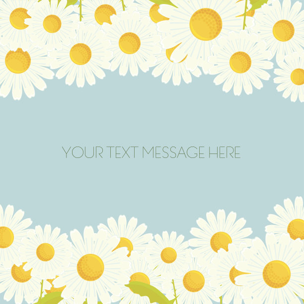 雏菊花的背景。图片下载