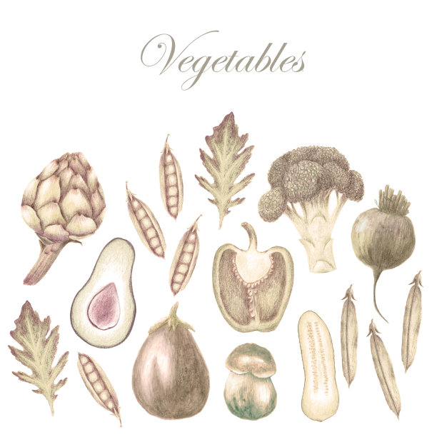 手绘蔬菜在深褐色的阴影图片下载
