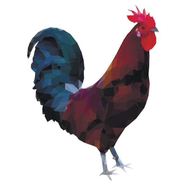 鸡的多边形插图图片下载